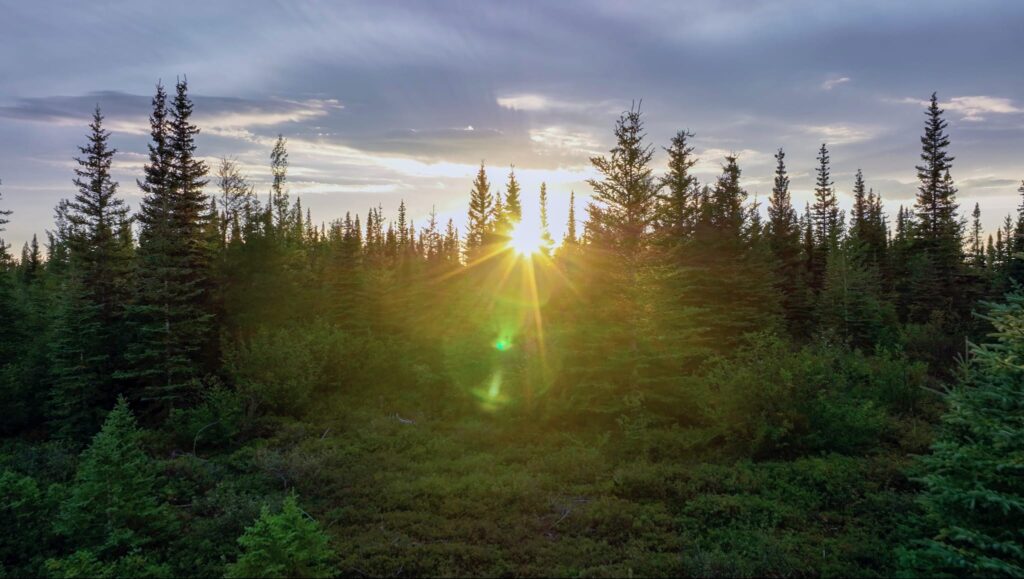 Sun setting on boreal forest outside of Gillam.